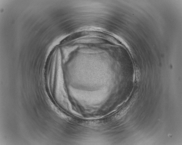 X0000072990995200608041304