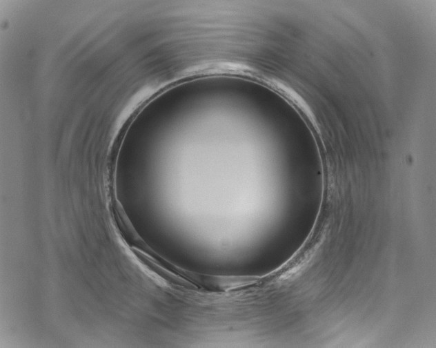 X0000072990997200608041303