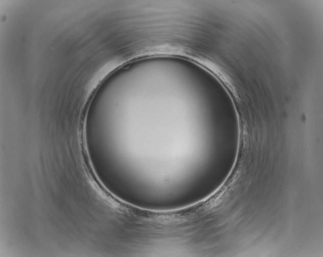 X0000072990998200608041303