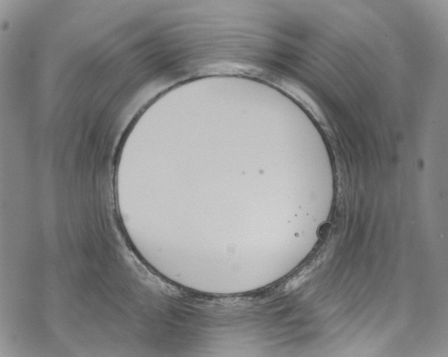 X0000072991000200608041303