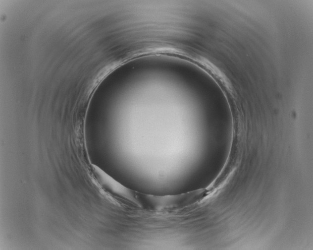 X0000072991001200608041303