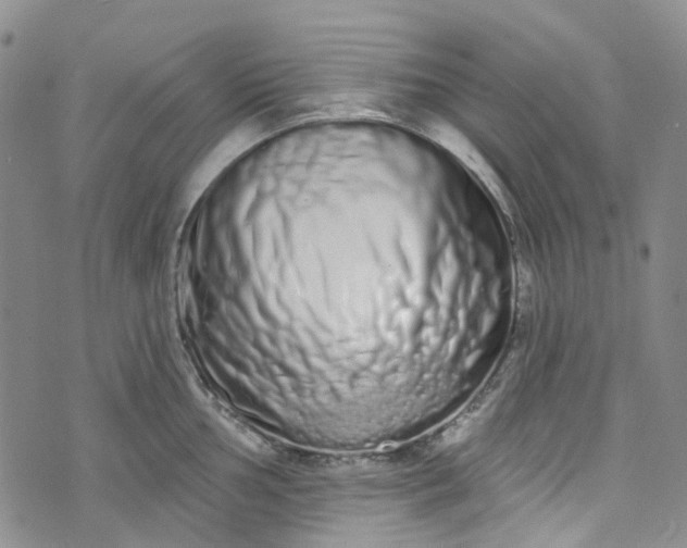 X0000072991002200608041303