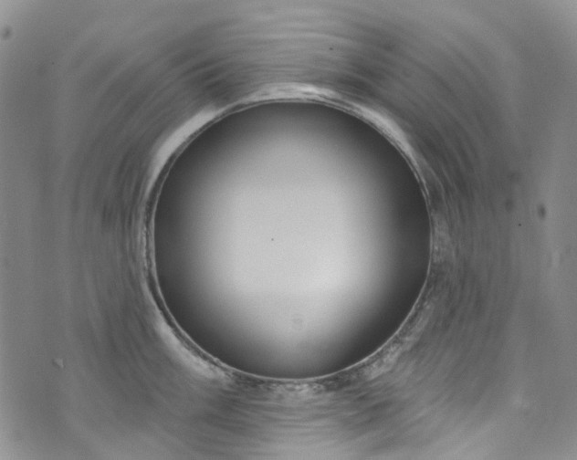 X0000072991003200608041303