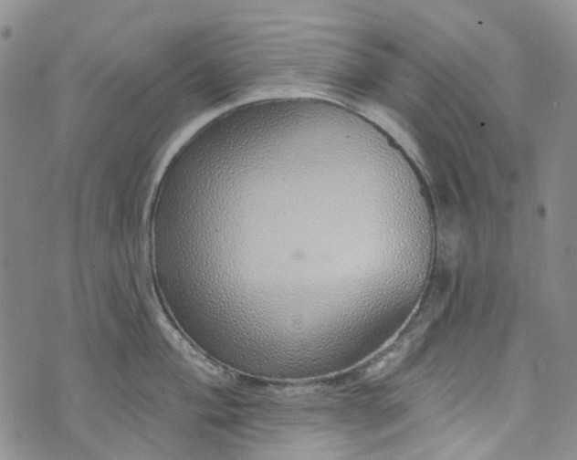 X0000072991004200608041303