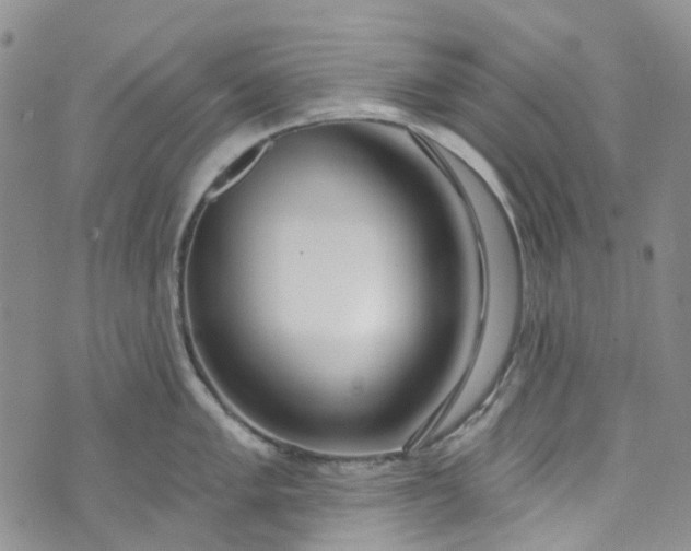 X0000072991005200608041303