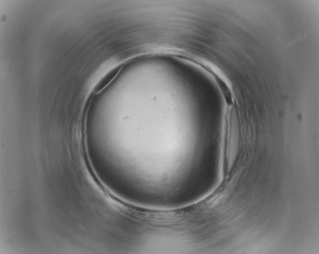 X0000072991007200608041303