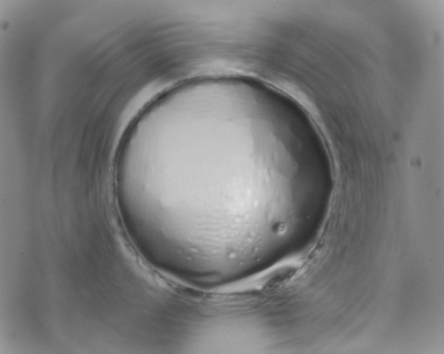 X0000072991008200608041303