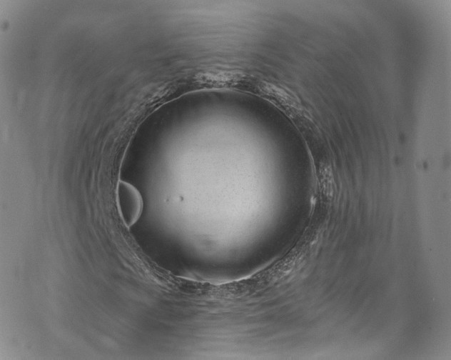 X0000072991009200608041303