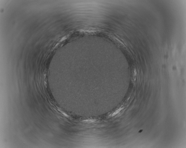 X0000072991010200608041303