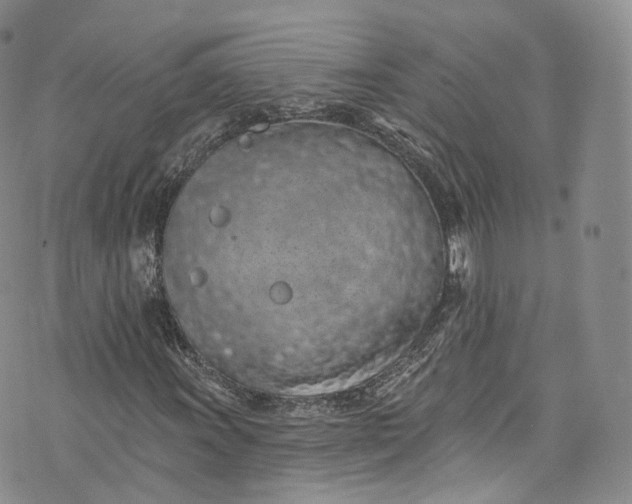 X0000072991011200608041303