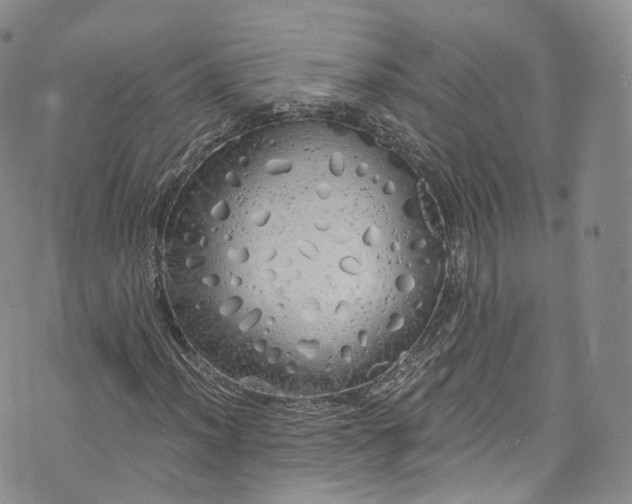 X0000072991012200608041303