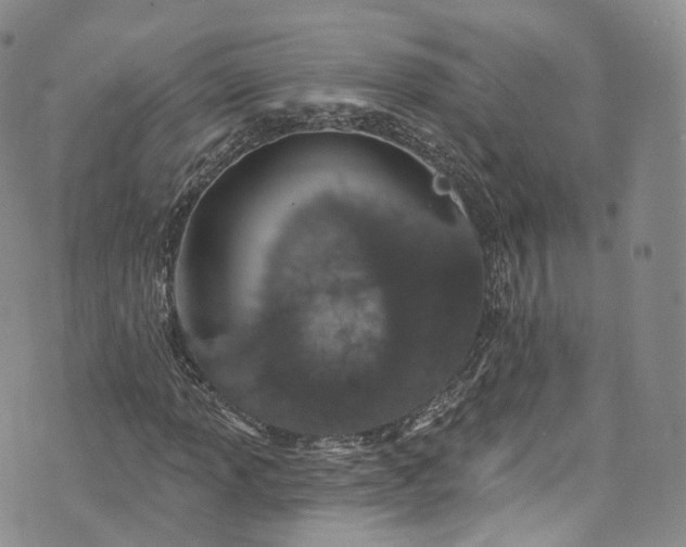 X0000072991013200608041303