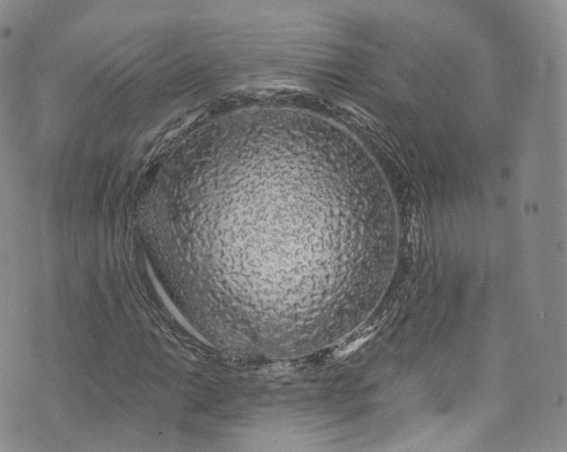 X0000072991014200608041303