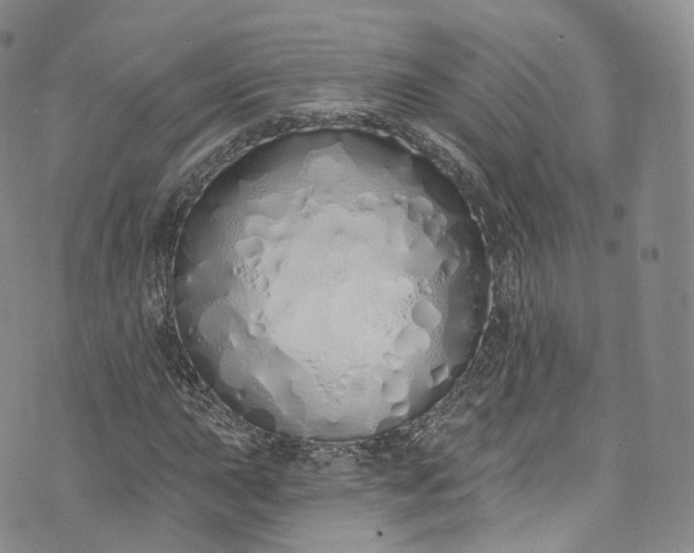 X0000072991015200608041303