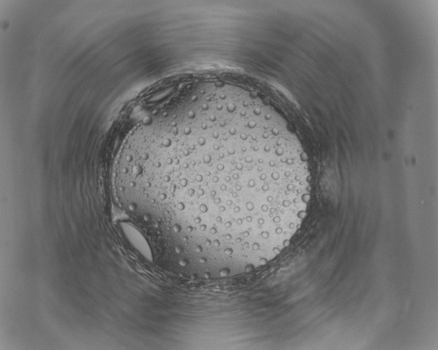 X0000072991016200608041303