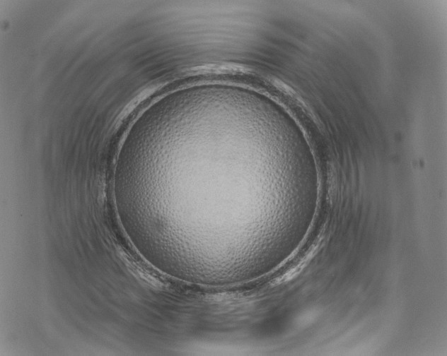 X0000072991017200608041303