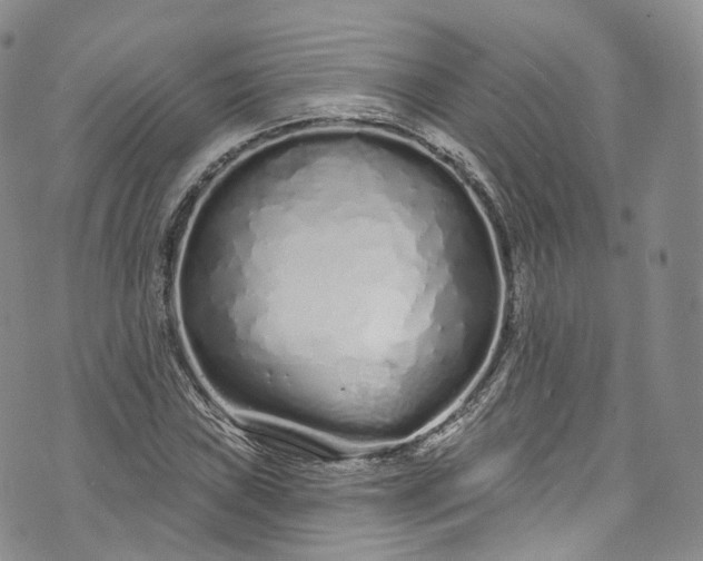 X0000072991019200608041303