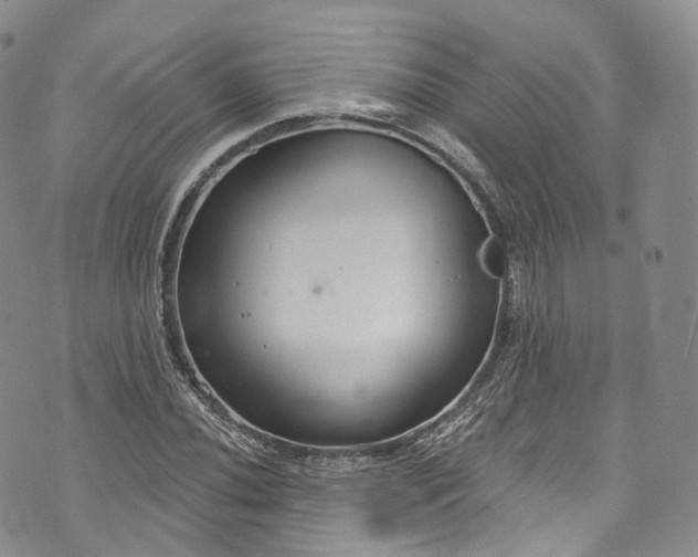 X0000072991020200608041303