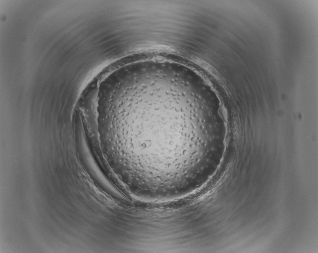 X0000072991022200608041303