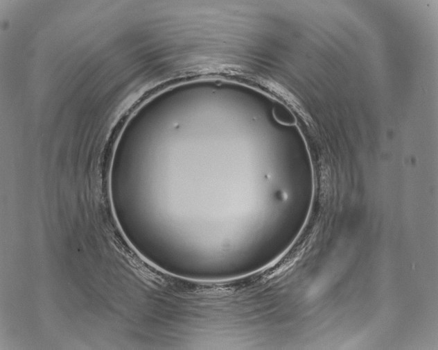 X0000072991023200608041303