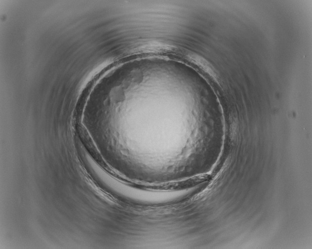 X0000072991026200608041303