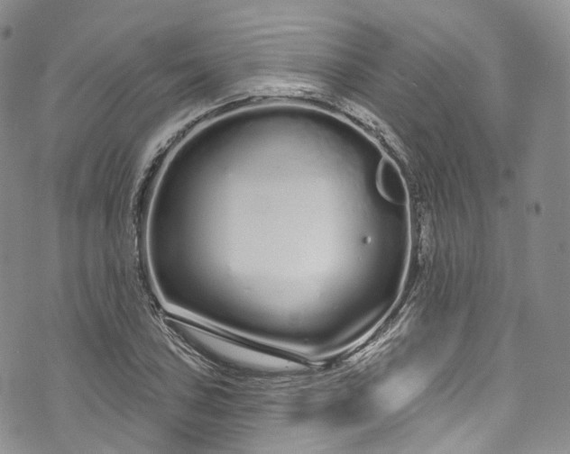 X0000072991027200608041303