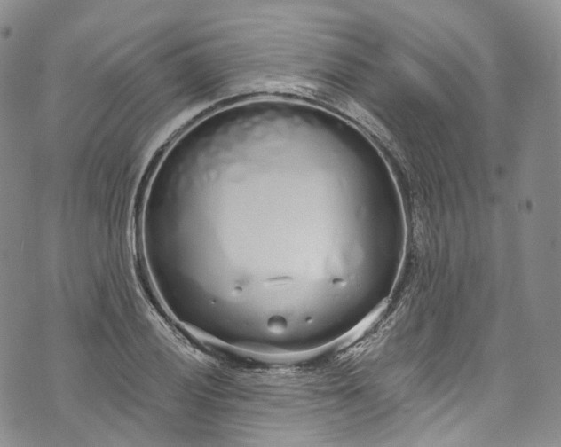 X0000072991028200608041303