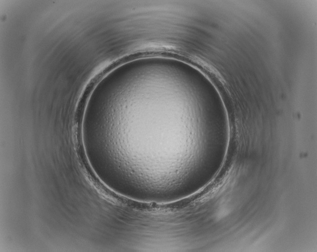 X0000072991029200608041303