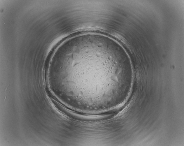 X0000072991030200608041303