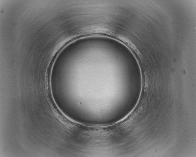 X0000072991031200608041303