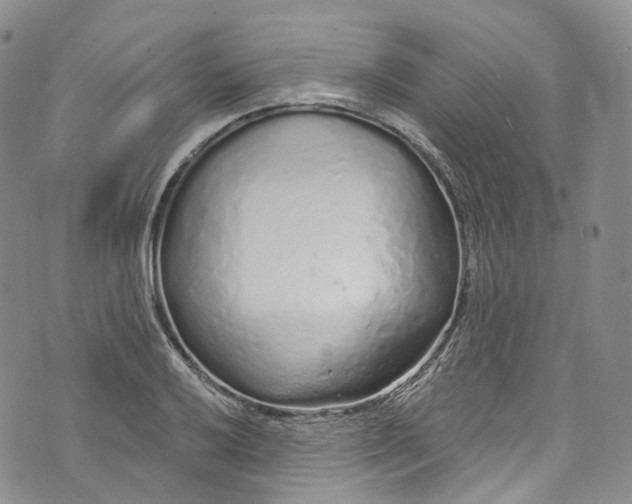 X0000072991032200608041303