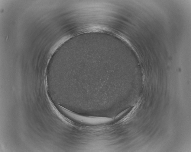 X0000072991034200608041303