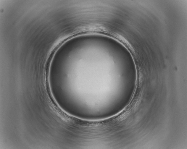 X0000072991035200608041303