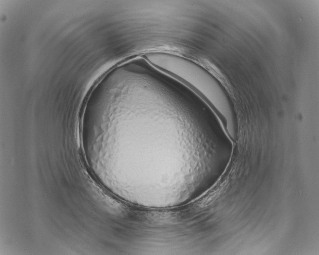 X0000072991036200608041303