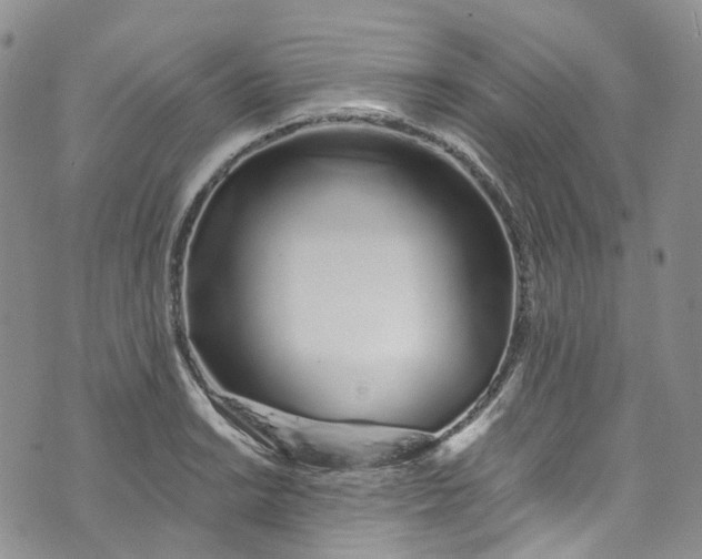 X0000072991038200608041303