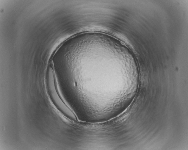 X0000072991040200608041303