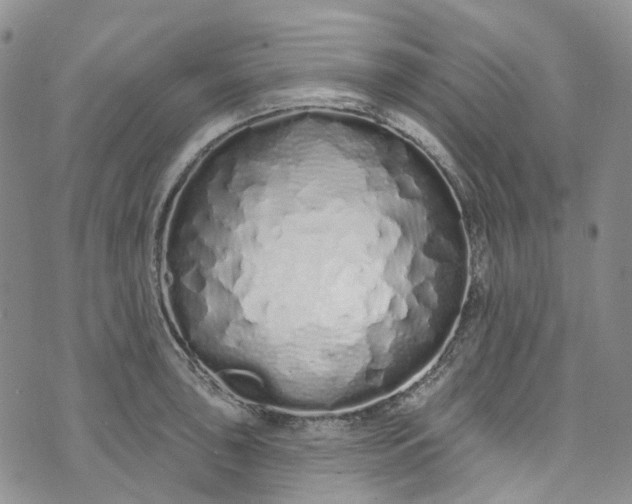 X0000072991043200608041303