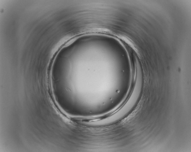 X0000072991046200608041303