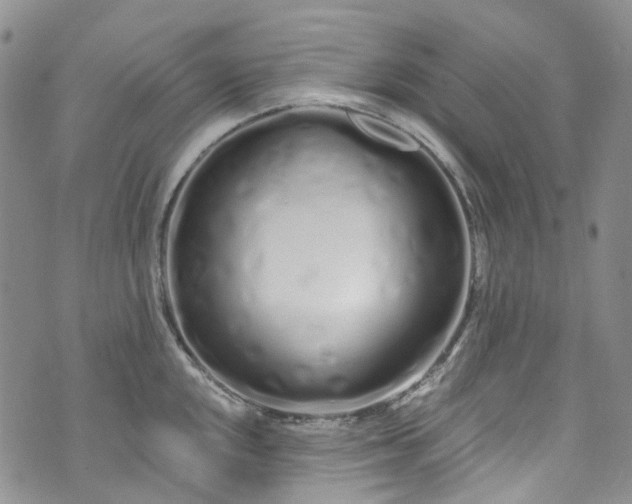 X0000072991048200608041303