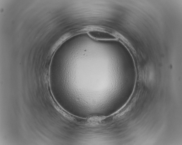 X0000072991049200608041303