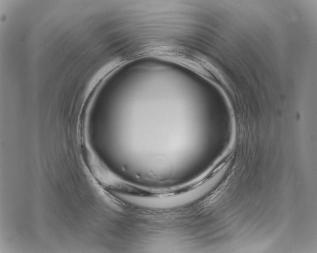 X0000072991050200608041303