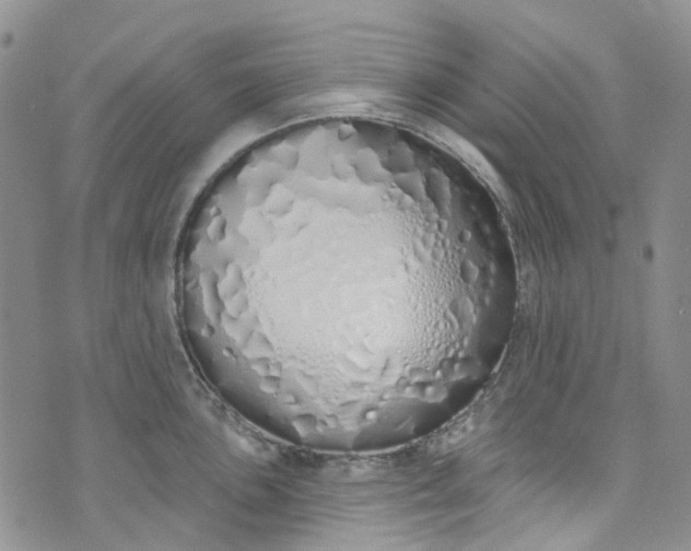 X0000072991051200608041303