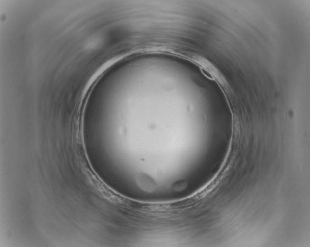 X0000072991052200608041303