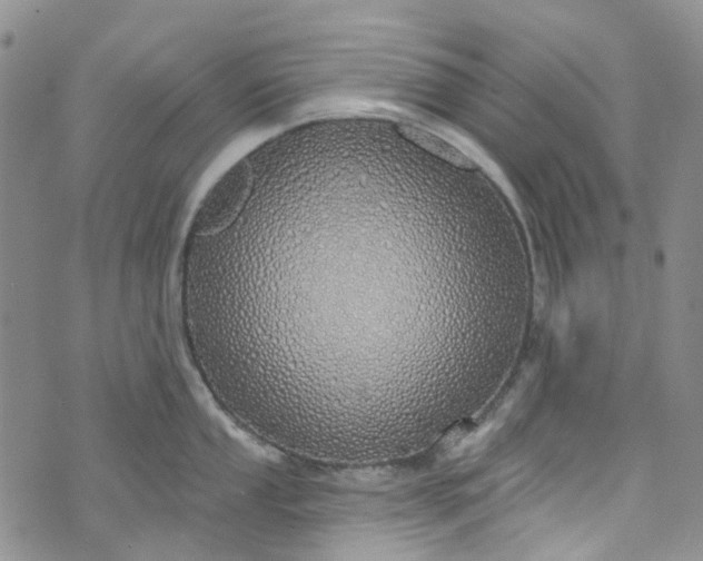 X0000072991053200608041303