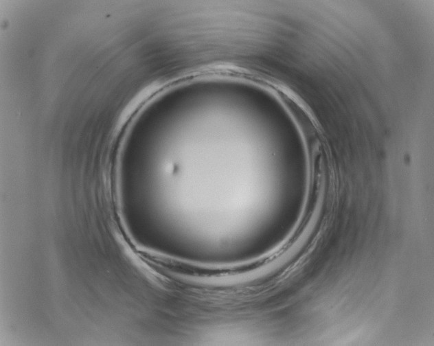 X0000072991054200608041303