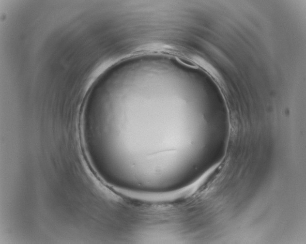 X0000072991055200608041303