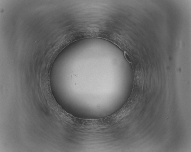 X0000072991057200608041302