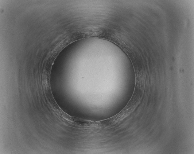 X0000072991058200608041302