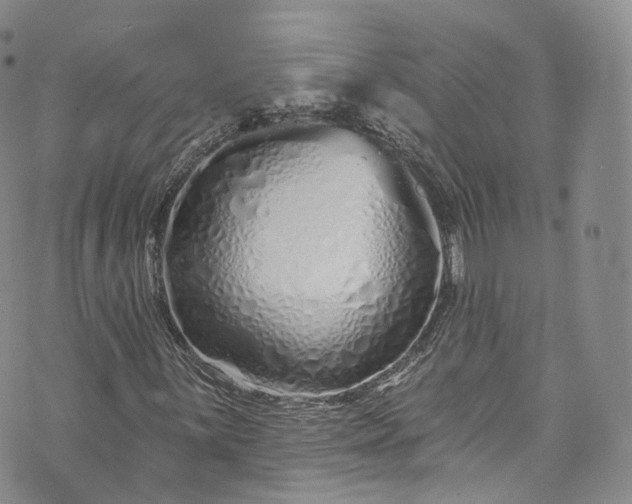 X0000072991059200608041302