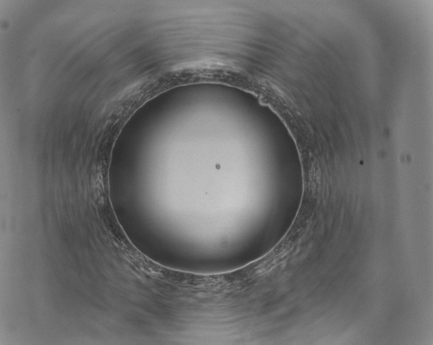 X0000072991062200608041302